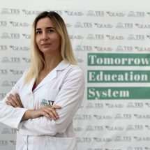 aldeina seferi